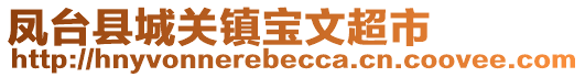 鳳臺(tái)縣城關(guān)鎮(zhèn)寶文超市