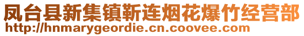 鳳臺(tái)縣新集鎮(zhèn)靳連煙花爆竹經(jīng)營(yíng)部