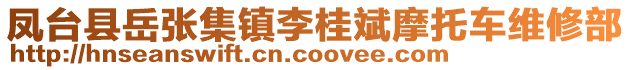 鳳臺縣岳張集鎮(zhèn)李桂斌摩托車維修部