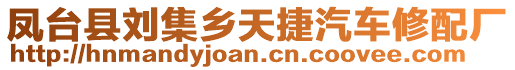 鳳臺縣劉集鄉(xiāng)天捷汽車修配廠