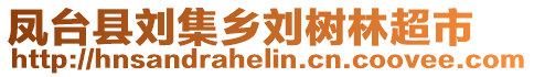 鳳臺縣劉集鄉(xiāng)劉樹林超市