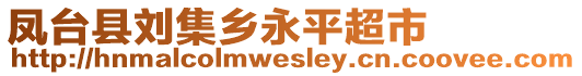 鳳臺(tái)縣劉集鄉(xiāng)永平超市