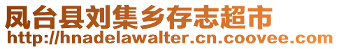 鳳臺(tái)縣劉集鄉(xiāng)存志超市