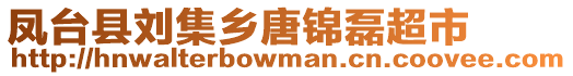 鳳臺(tái)縣劉集鄉(xiāng)唐錦磊超市