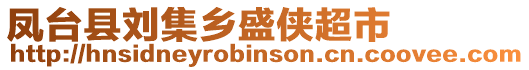 鳳臺(tái)縣劉集鄉(xiāng)盛俠超市