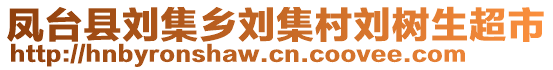 鳳臺縣劉集鄉(xiāng)劉集村劉樹生超市