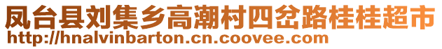 鳳臺(tái)縣劉集鄉(xiāng)高潮村四岔路桂桂超市