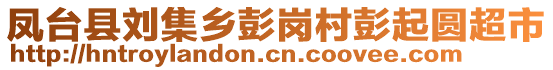 鳳臺縣劉集鄉(xiāng)彭崗村彭起圓超市