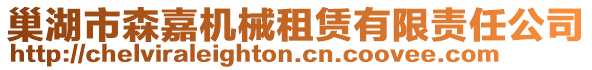 巢湖市森嘉機械租賃有限責任公司