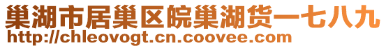 巢湖市居巢區(qū)皖巢湖貨一七八九