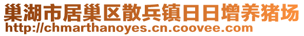 巢湖市居巢區(qū)散兵鎮(zhèn)日日增養(yǎng)豬場