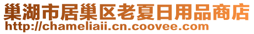 巢湖市居巢區(qū)老夏日用品商店