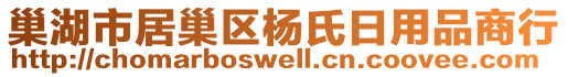 巢湖市居巢区杨氏日用品商行