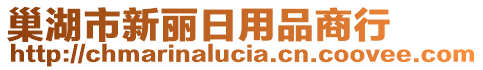 巢湖市新麗日用品商行