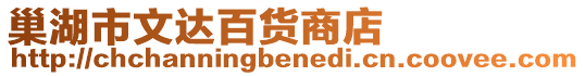 巢湖市文達百貨商店