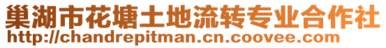 巢湖市花塘土地流轉(zhuǎn)專業(yè)合作社