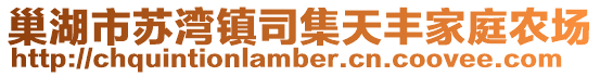 巢湖市蘇灣鎮司集天豐家庭農場