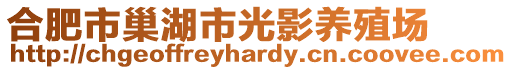 合肥市巢湖市光影養(yǎng)殖場