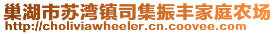 巢湖市蘇灣鎮司集振豐家庭農場