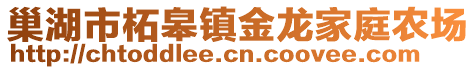 巢湖市柘皋鎮(zhèn)金龍家庭農(nóng)場