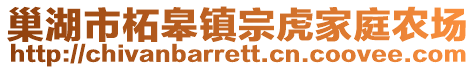 巢湖市柘皋鎮(zhèn)宗虎家庭農(nóng)場