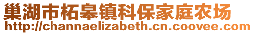 巢湖市柘皋鎮(zhèn)科保家庭農(nóng)場