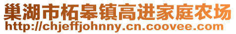 巢湖市柘皋鎮高進家庭農場