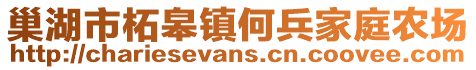 巢湖市柘皋鎮何兵家庭農場