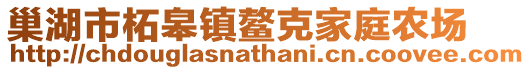巢湖市柘皋鎮鰲克家庭農場