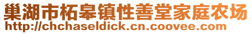 巢湖市柘皋鎮(zhèn)性善堂家庭農(nóng)場