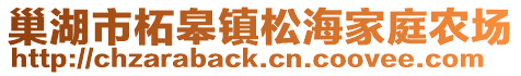 巢湖市柘皋鎮(zhèn)松海家庭農(nóng)場