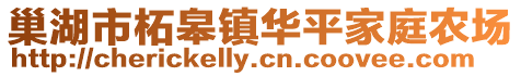 巢湖市柘皋鎮華平家庭農場