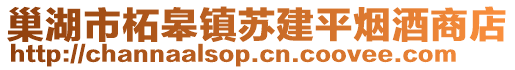 巢湖市柘皋鎮(zhèn)蘇建平煙酒商店