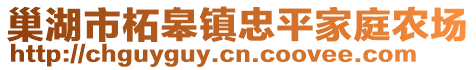 巢湖市柘皋鎮(zhèn)忠平家庭農(nóng)場(chǎng)