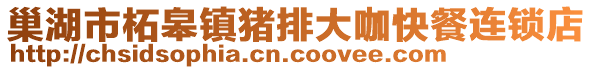 巢湖市柘皋鎮(zhèn)豬排大咖快餐連鎖店