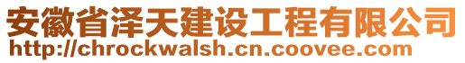 安徽省澤天建設工程有限公司