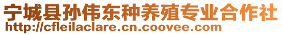 寧城縣孫偉東種養(yǎng)殖專業(yè)合作社