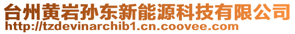 臺州黃巖孫東新能源科技有限公司