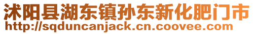 沭陽(yáng)縣湖東鎮(zhèn)孫東新化肥門市