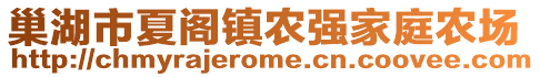 巢湖市夏閣鎮(zhèn)農(nóng)強家庭農(nóng)場