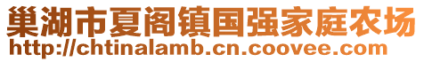 巢湖市夏閣鎮(zhèn)國強家庭農(nóng)場