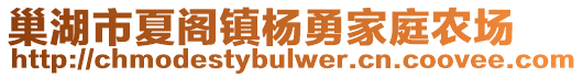 巢湖市夏閣鎮(zhèn)楊勇家庭農(nóng)場