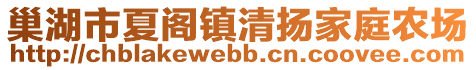 巢湖市夏閣鎮(zhèn)清揚(yáng)家庭農(nóng)場