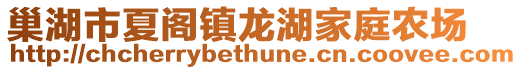 巢湖市夏閣鎮(zhèn)龍湖家庭農(nóng)場