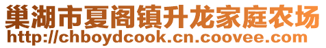 巢湖市夏閣鎮(zhèn)升龍家庭農(nóng)場