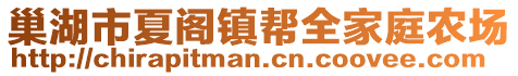 巢湖市夏閣鎮(zhèn)幫全家庭農場