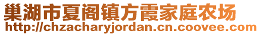 巢湖市夏閣鎮(zhèn)方霞家庭農(nóng)場