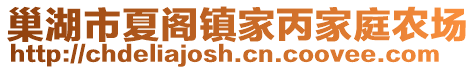 巢湖市夏閣鎮(zhèn)家丙家庭農(nóng)場