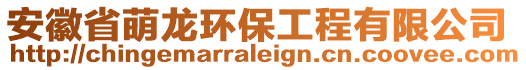 安徽省萌龍環(huán)保工程有限公司