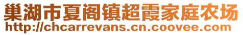 巢湖市夏閣鎮(zhèn)超霞家庭農(nóng)場(chǎng)